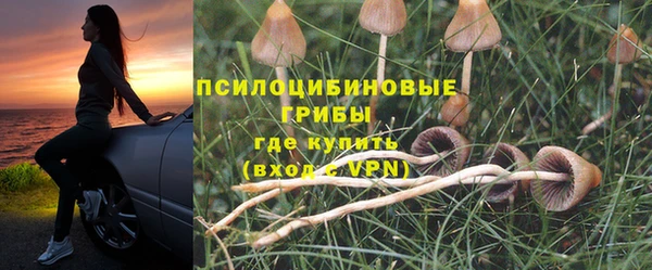 тгк Зеленокумск