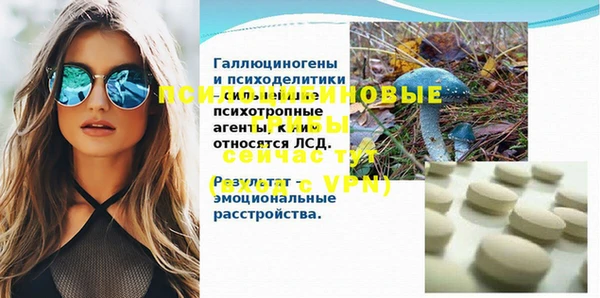 тгк Зеленокумск