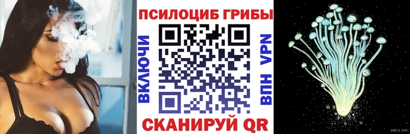 Купить  Красный Холм  Псилоцибиновые грибы Psilocybine cubensis 